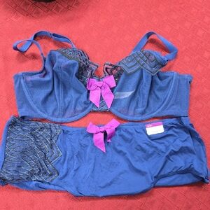 Cacique Blue and Pink Bra Set